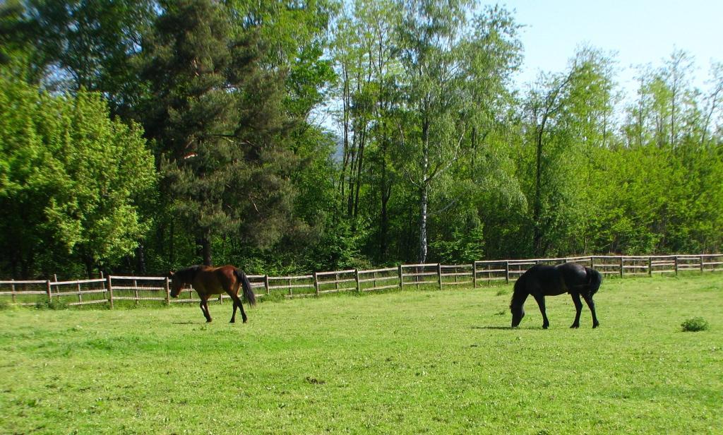 Agriturismo Cassinazza Orsenigo Bagian luar foto